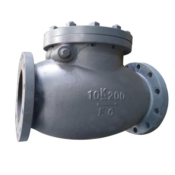 JIS F7373 200A Swing Check Valve